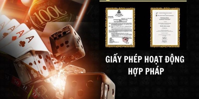 Tầm quan trọng của giấy phép hoạt động